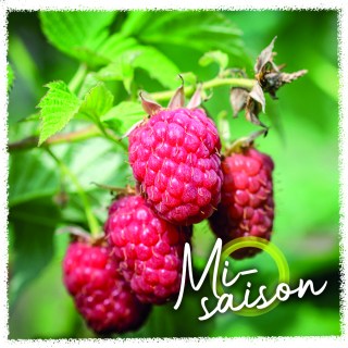 Framboise Misaison copie